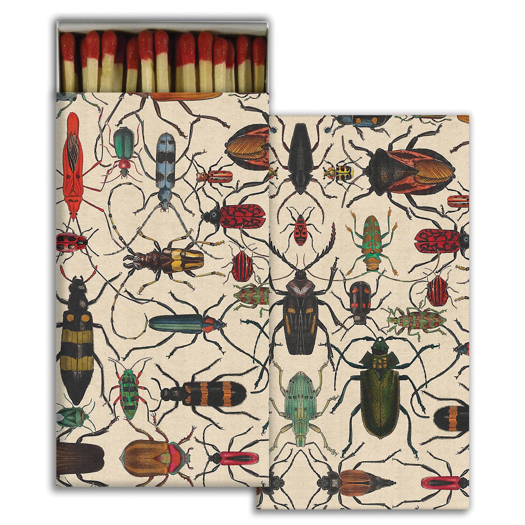 Mixed Beetles Matchbox