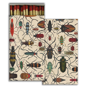 Mixed Beetles Matchbox
