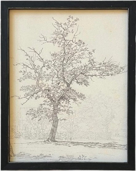 Tree Sketch Artwork
