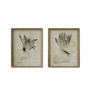 Fern Shadow Box Print Artwork